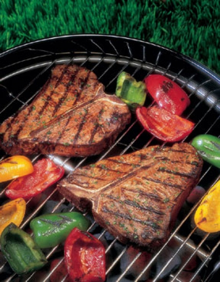 Gas, Charcoal & Ceramic Grills & Smokers